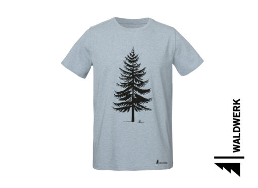 FICHTE PAPA – Bild 2