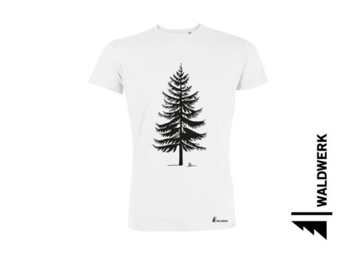 FICHTE PAPA – Bild 3