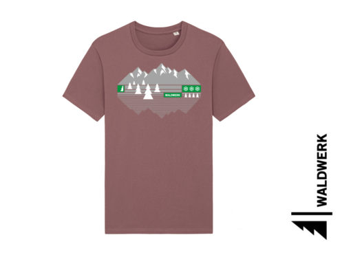 ALPENBLICK – Bild 10