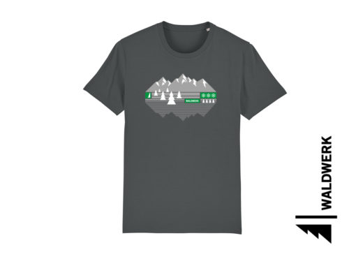 ALPENBLICK – Bild 3