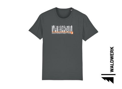 OLDTIMERTREFFEN – Bild 2