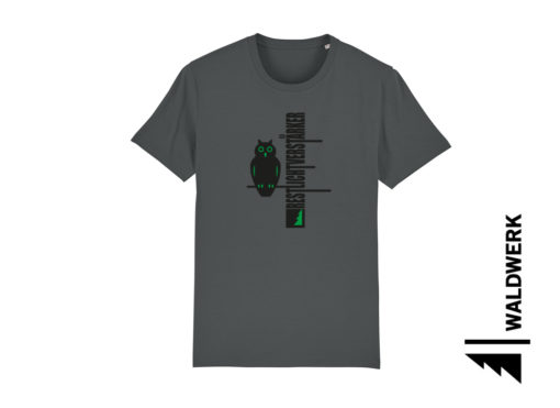 RESTLICHTVERSTÄRKER – Bild 2