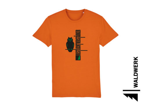 RESTLICHTVERSTÄRKER – Bild 10