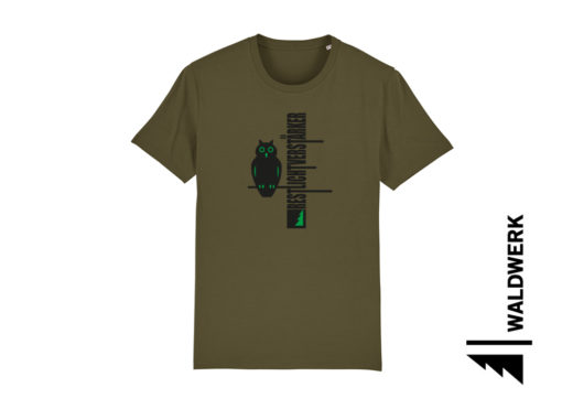 RESTLICHTVERSTÄRKER – Bild 9