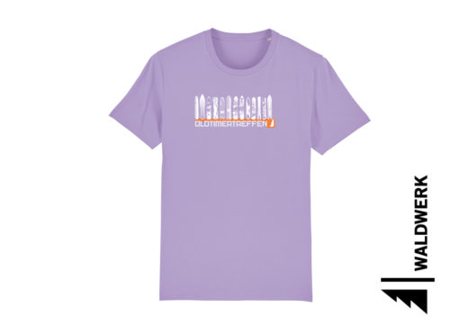 OLDTIMERTREFFEN – Bild 5