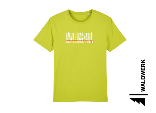 OLDTIMERTREFFEN – Bild 10