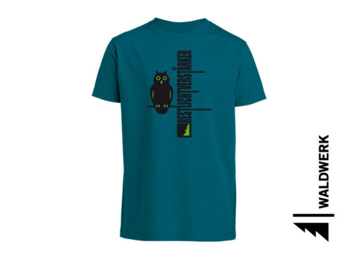 RESTLICHTVERSTÄRKER – Bild 3