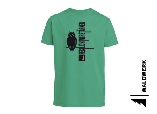 RESTLICHTVERSTÄRKER – Bild 2