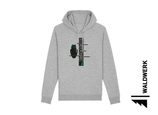 RESTLICHTVERSTÄRKER – Bild 2